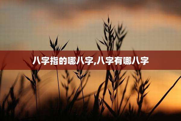 八字指的哪八字,八字有哪八字