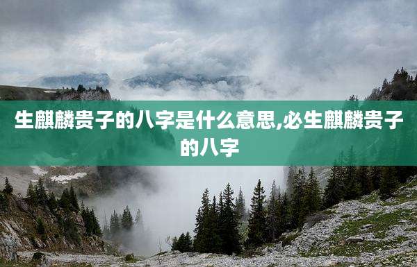 生麒麟贵子的八字是什么意思,必生麒麟贵子的八字
