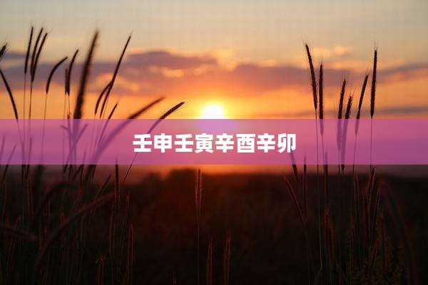 壬申壬寅辛酉辛卯