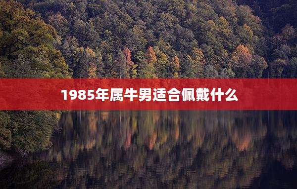 1985年属牛男适合佩戴什么