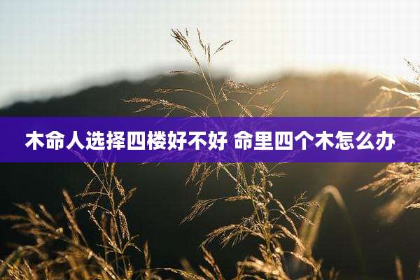 木命人选择四楼好不好 命里四个木怎么办