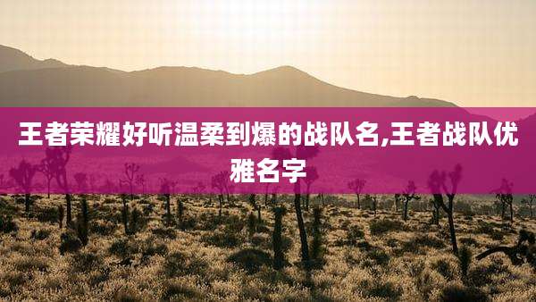 王者荣耀好听温柔到爆的战队名,王者战队优雅名字