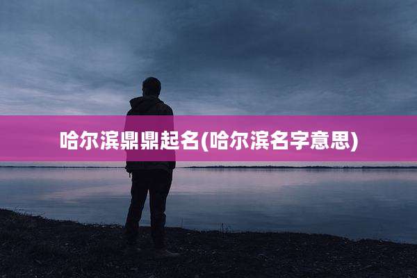 哈尔滨鼎鼎起名(哈尔滨名字意思)