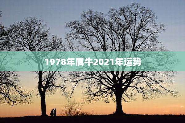 1978年属牛2021年运势