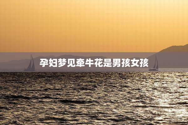 孕妇梦见牵牛花是男孩女孩