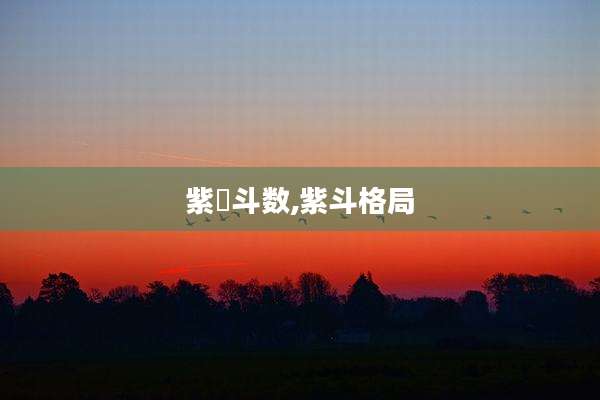 紫嶶斗数,紫斗格局