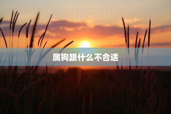 属狗跟什么不合适