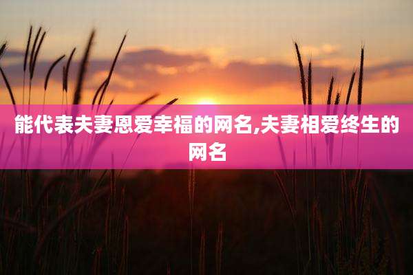 能代表夫妻恩爱幸福的网名,夫妻相爱终生的网名