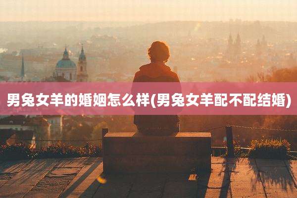 男兔女羊的婚姻怎么样(男兔女羊配不配结婚)
