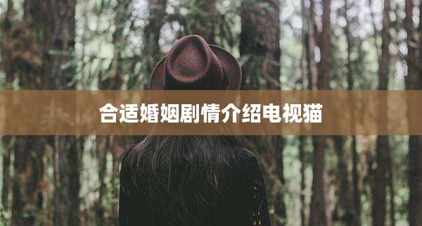 合适婚姻剧情介绍电视猫
