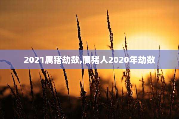2021属猪劫数,属猪人2020年劫数