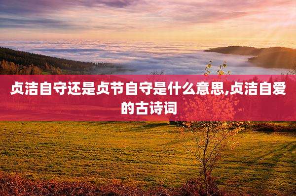 贞洁自守还是贞节自守是什么意思,贞洁自爱的古诗词