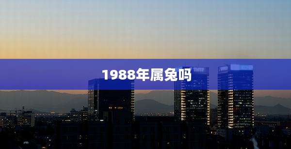 1988年属兔吗