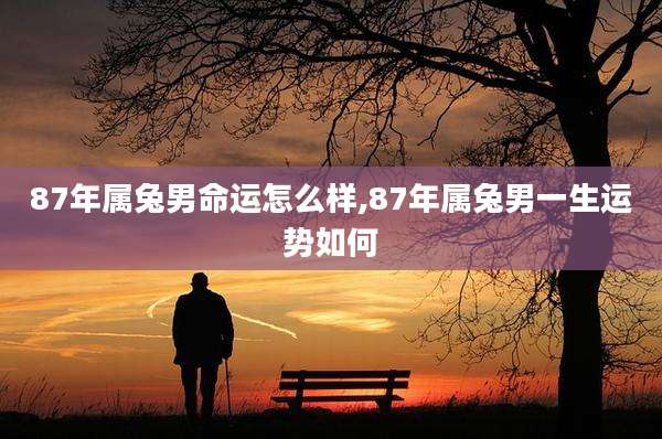 87年属兔男命运怎么样,87年属兔男一生运势如何