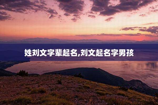姓刘文字辈起名,刘文起名字男孩