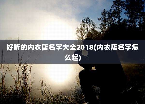 好听的内衣店名字大全2018(内衣店名字怎么起)