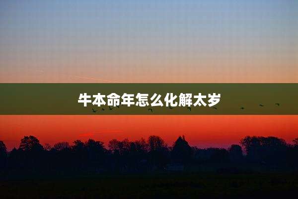 牛本命年怎么化解太岁