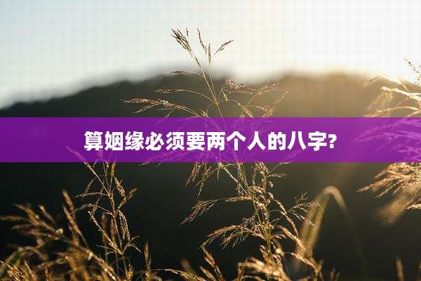 算姻缘必须要两个人的八字?