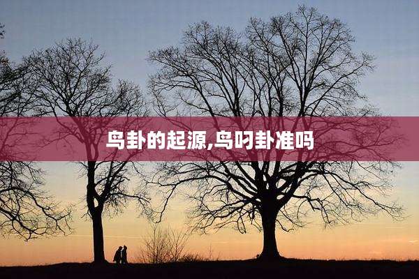 鸟卦的起源,鸟叼卦准吗
