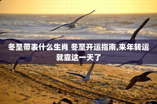 冬至带表什么生肖 冬至开运指南,来年转运就靠这一天了