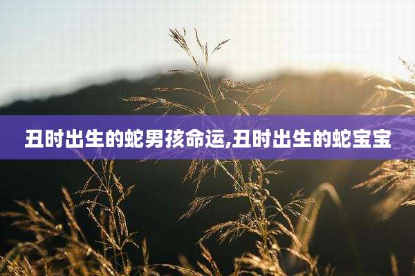 丑时出生的蛇男孩命运,丑时出生的蛇宝宝