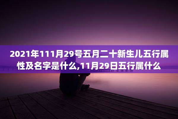 2021年111月29号五月二十新生儿五行属性及名字是什么,11月29日五行属什么