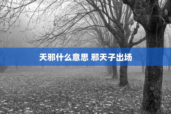 天邪什么意思 邪天子出场