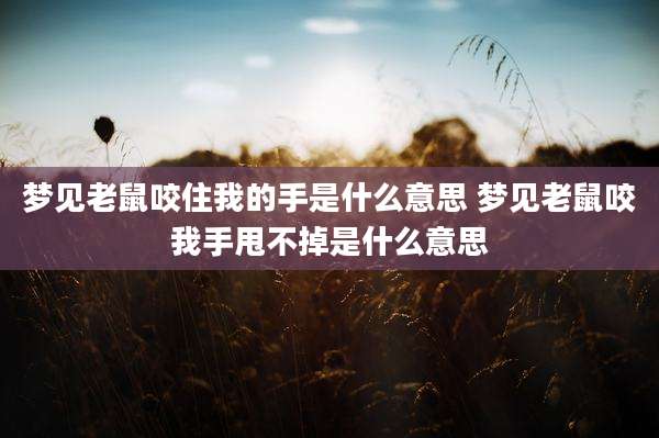 梦见老鼠咬住我的手是什么意思 梦见老鼠咬我手甩不掉是什么意思