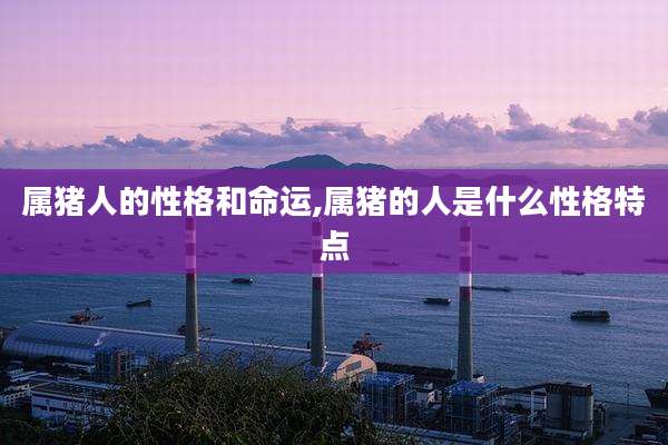 属猪人的性格和命运,属猪的人是什么性格特点