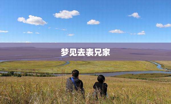 梦见去表兄家