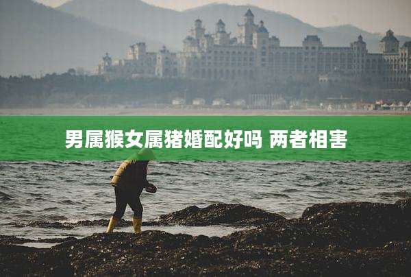 男属猴女属猪婚配好吗 两者相害