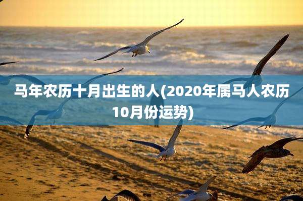 马年农历十月出生的人(2020年属马人农历10月份运势)