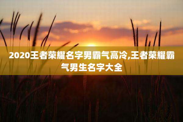 2020王者荣耀名字男霸气高冷,王者荣耀霸气男生名字大全