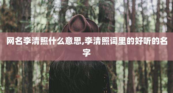 网名李清照什么意思,李清照词里的好听的名字