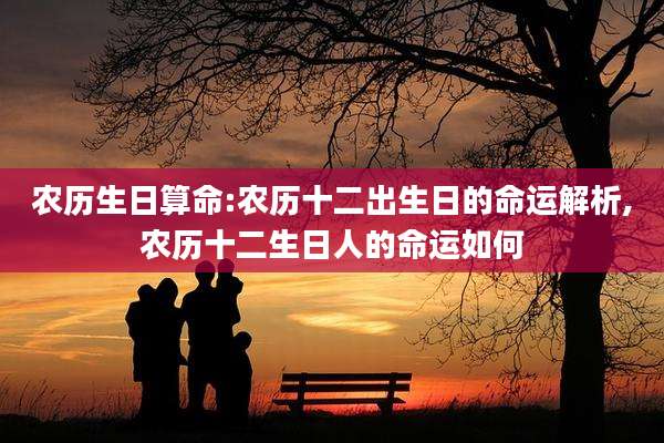 农历生日算命:农历十二出生日的命运解析,农历十二生日人的命运如何