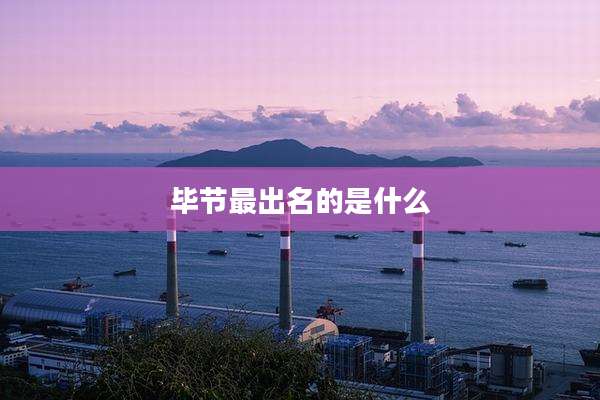 毕节最出名的是什么