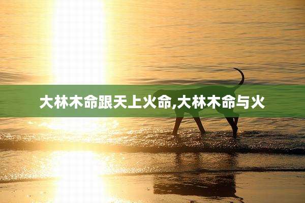 大林木命跟天上火命,大林木命与火