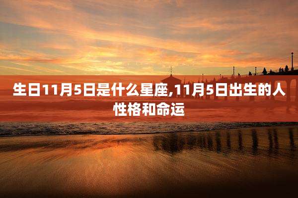 生日11月5日是什么星座,11月5日出生的人性格和命运