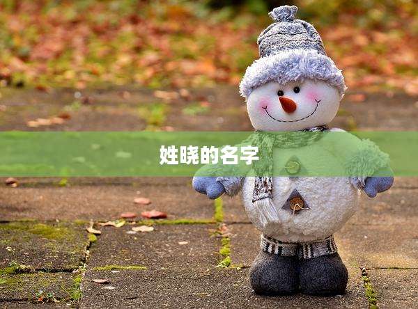 姓晓的名字
