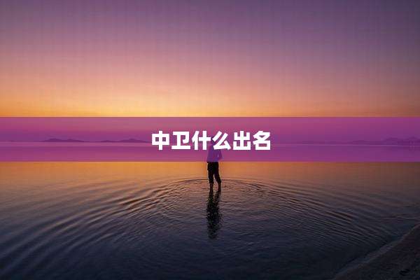 中卫什么出名
