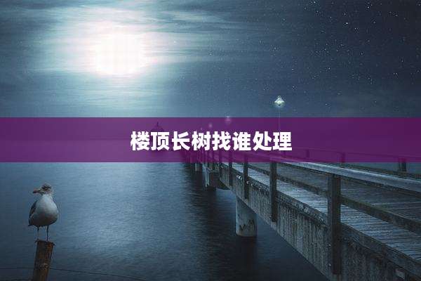 楼顶长树找谁处理