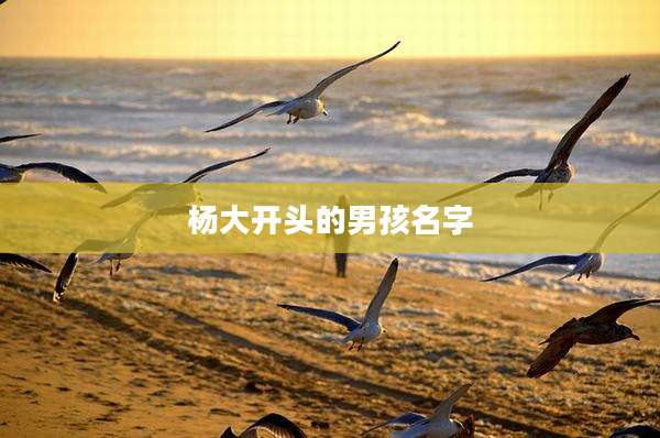 杨大开头的男孩名字