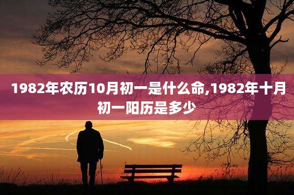 1982年农历10月初一是什么命,1982年十月初一阳历是多少