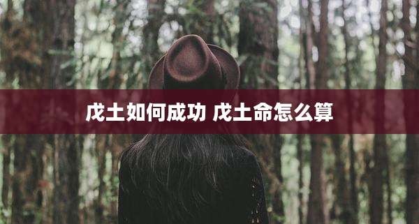 戊土如何成功 戊土命怎么算