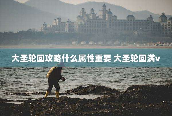 大圣轮回攻略什么属性重要 大圣轮回满v