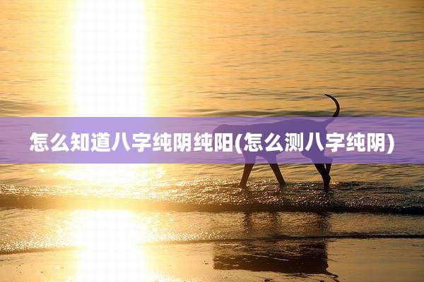怎么知道八字纯阴纯阳(怎么测八字纯阴)