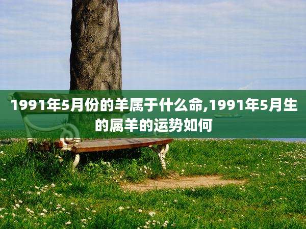 1991年5月份的羊属于什么命,1991年5月生的属羊的运势如何