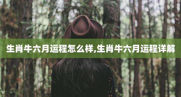 生肖牛六月运程怎么样,生肖牛六月运程详解