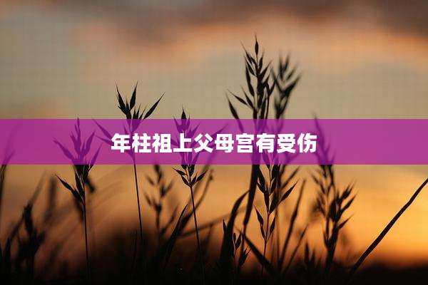年柱祖上父母宫有受伤