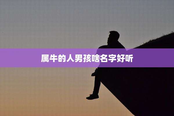属牛的人男孩啥名字好听